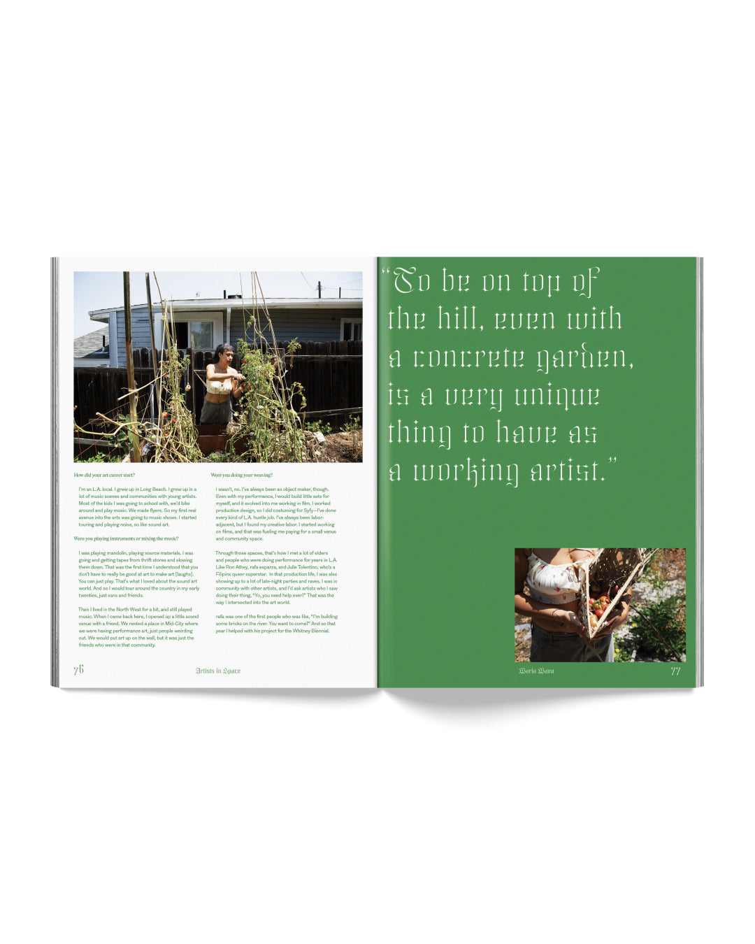 Seed Supporter Preorder: Artists in Space