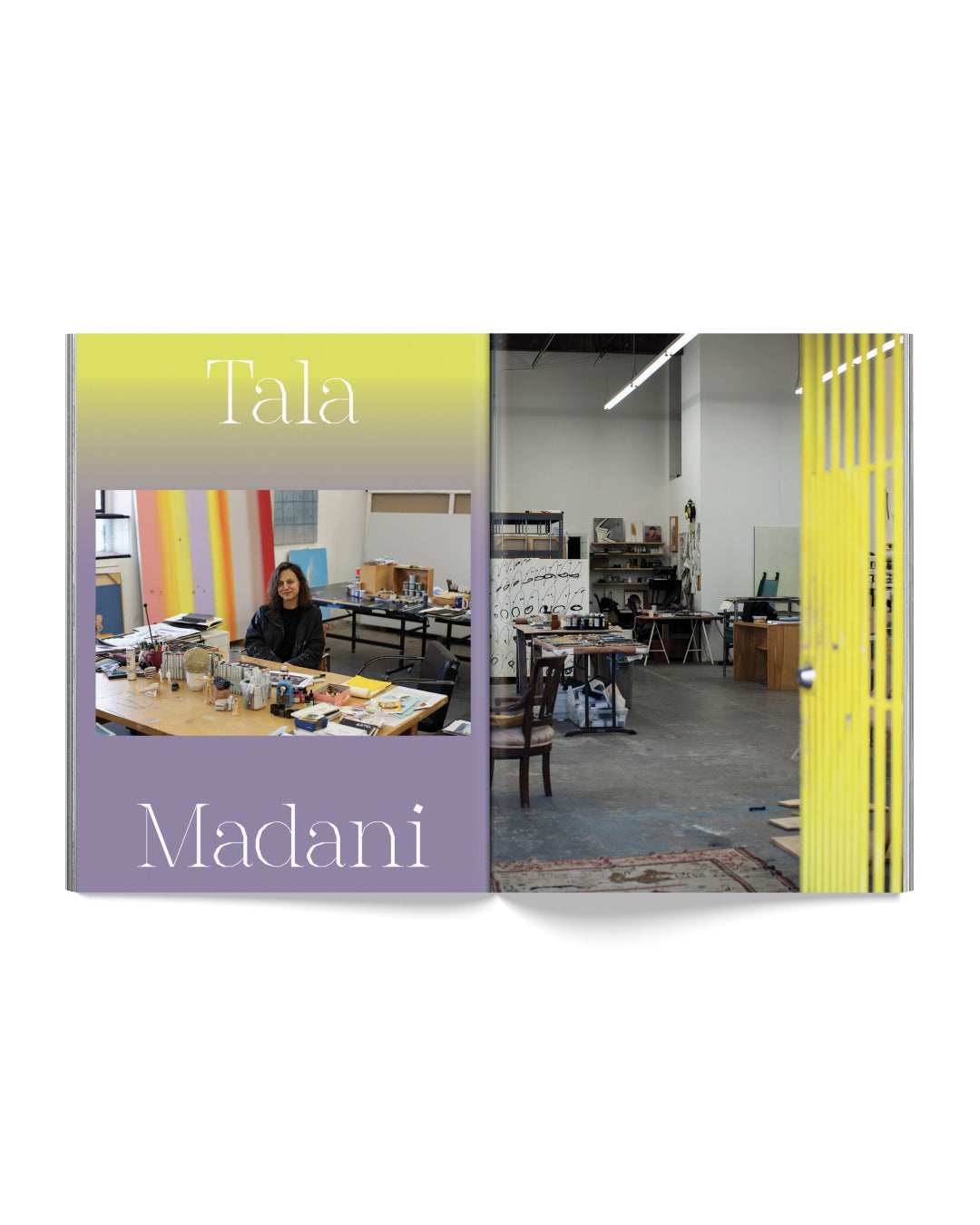 Seed Supporter Preorder: Artists in Space